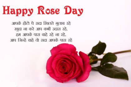Valentine’s Week: आशिकों का फेस्टिव महोत्सव Rose Day से आरंभ हुआ 90 Valentine’s Week