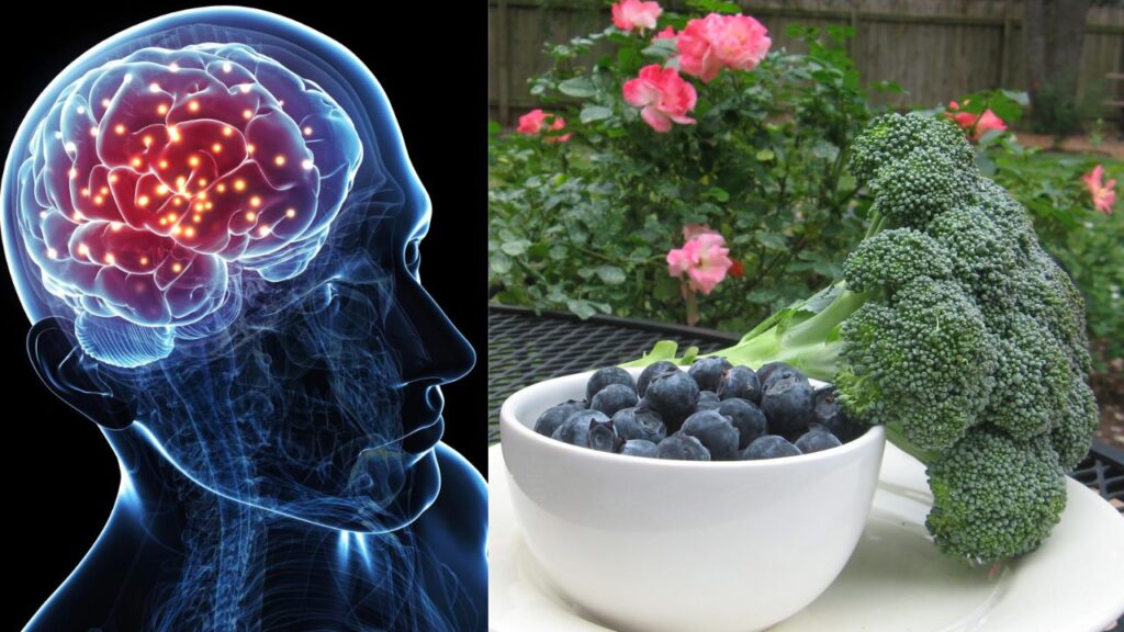 best foods to boost memory