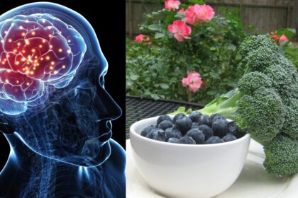 best foods to boost memory