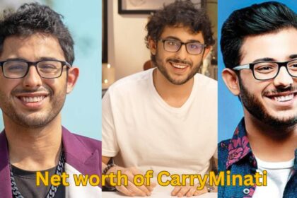 Net worth of CarryMinati