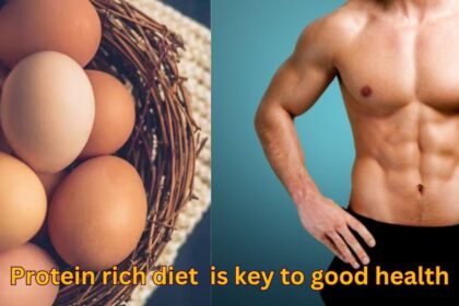 Tips to reduce weight without exercises