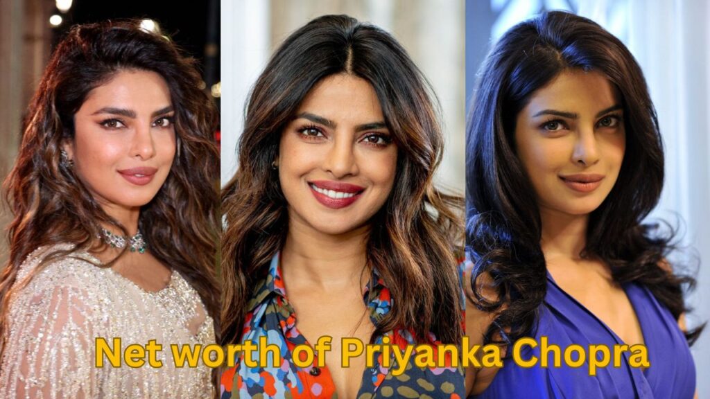 Net worth of Priyanka Chopra
