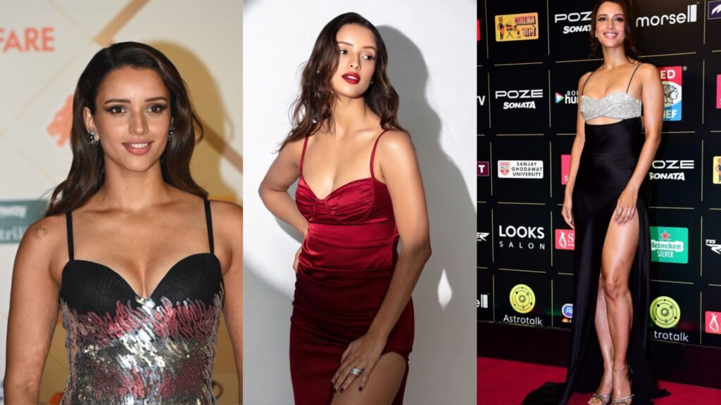 Tripti Dimri Net worth (May 2024)