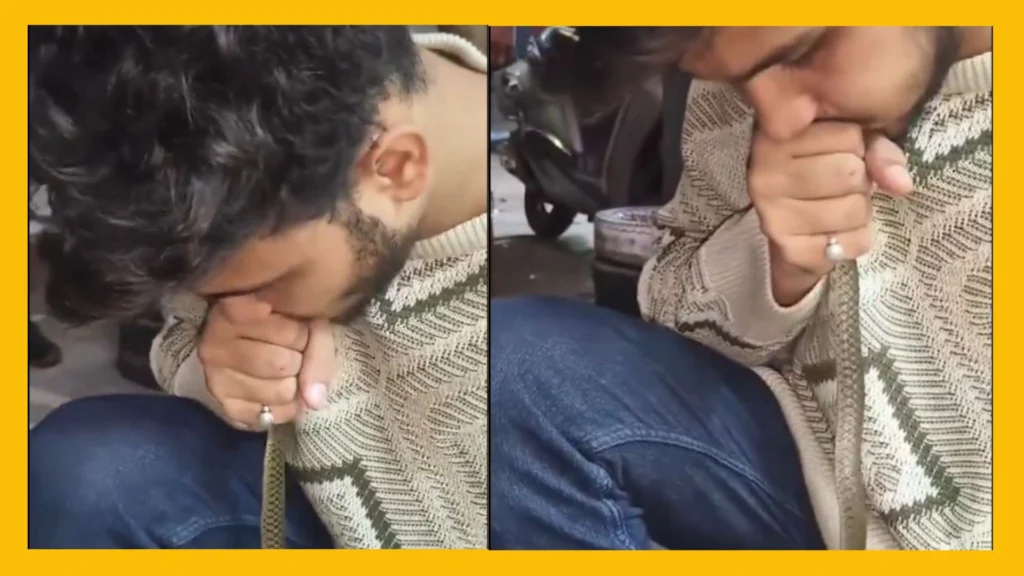 Man Performs CPR On Snake