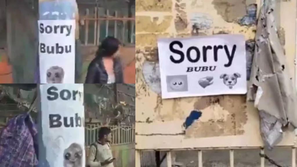 Sorry Bubu Posters Appear on Walls