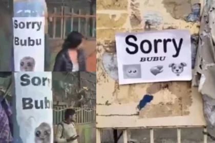 Sorry Bubu Posters Appear on Walls