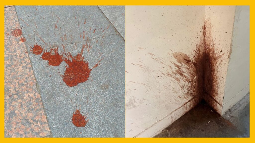 UP Speaker Slams MLA