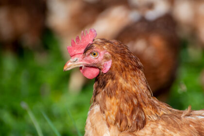 Teacher suspended after peculiar demand