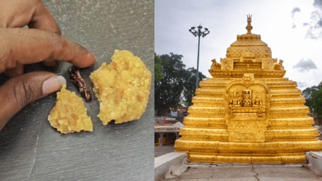Man says he found cockroach in laddoo