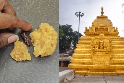 Man says he found cockroach in laddoo