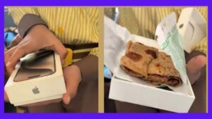 Too Expensive Lunch Box