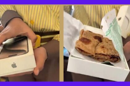 Too Expensive Lunch Box